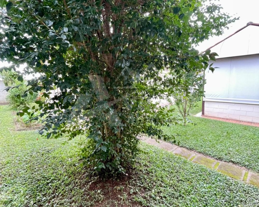 Você tem um sonho e nós temos a chave!