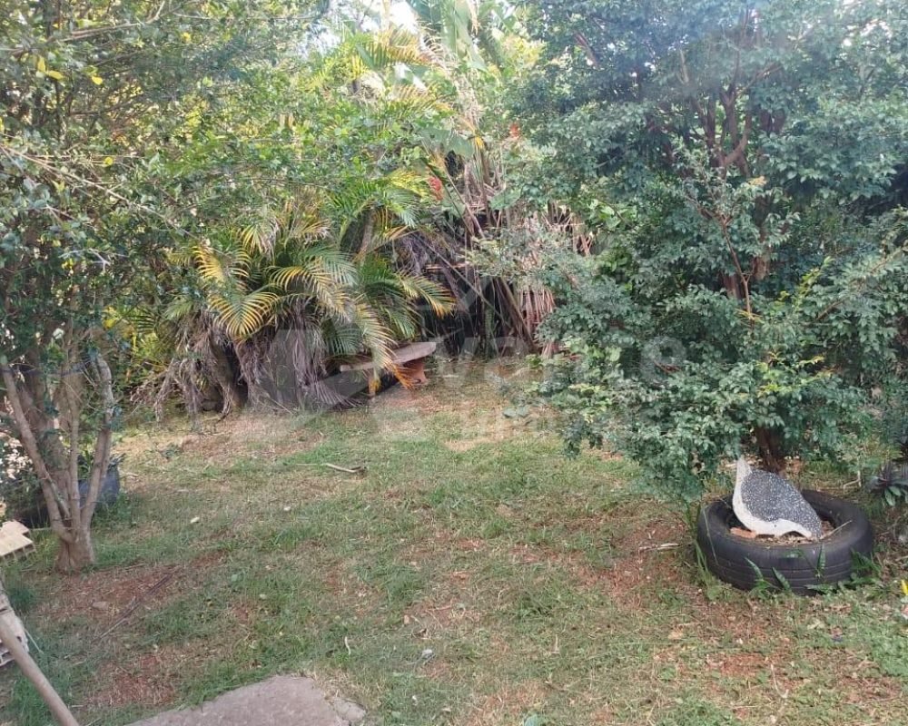 Você tem um sonho e nós temos a chave!