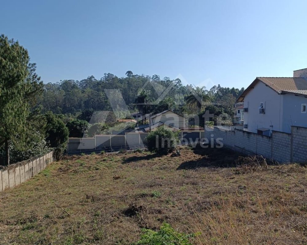 Avante Imóveis ajudando você a realizar seu sonho