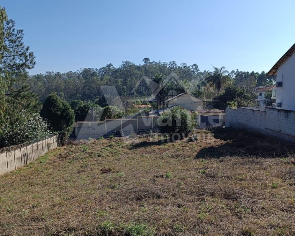 Avante Imóveis ajudando você a realizar seu sonho