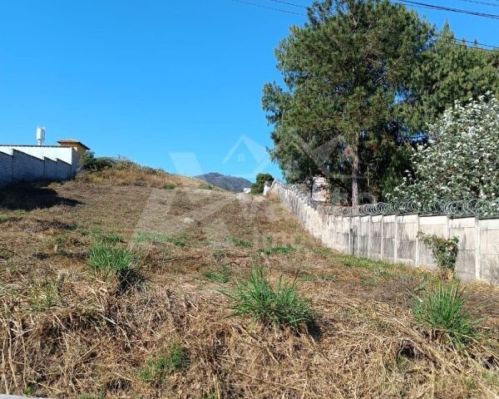 Avante Imóveis ajudando você a realizar seu sonho