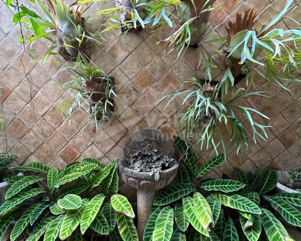 Avante Imóveis ajudando você a realizar o sonho da casa própria