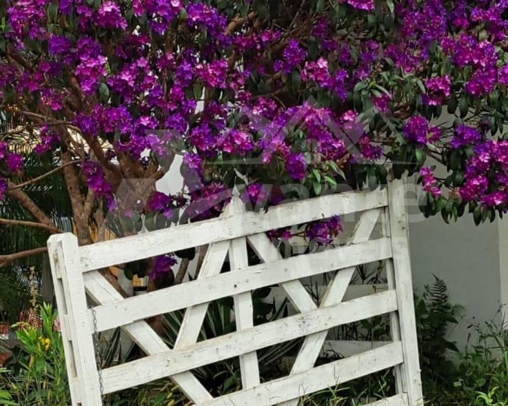 Avante Imóveis ajudando você a realizar o sonho da casa própria