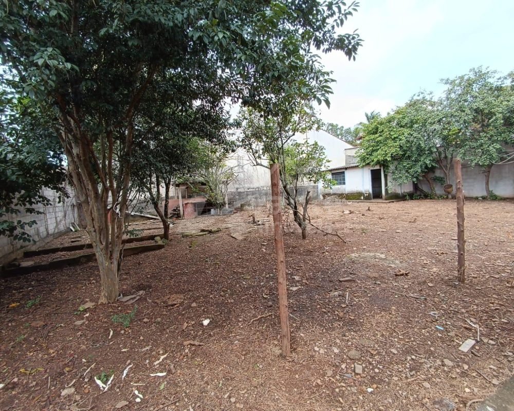 Avante Imóveis ajudando você a realizar o sonho da casa própria