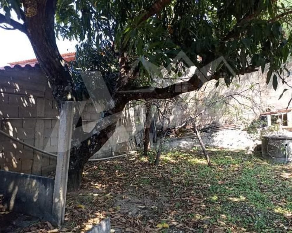 Avante Imóveis ajudando você a realizar o sonho da casa própria