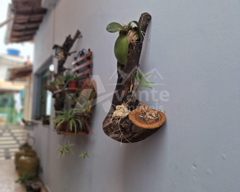 Avante Imóveis ajudando você a realizar o sonho da casa própria