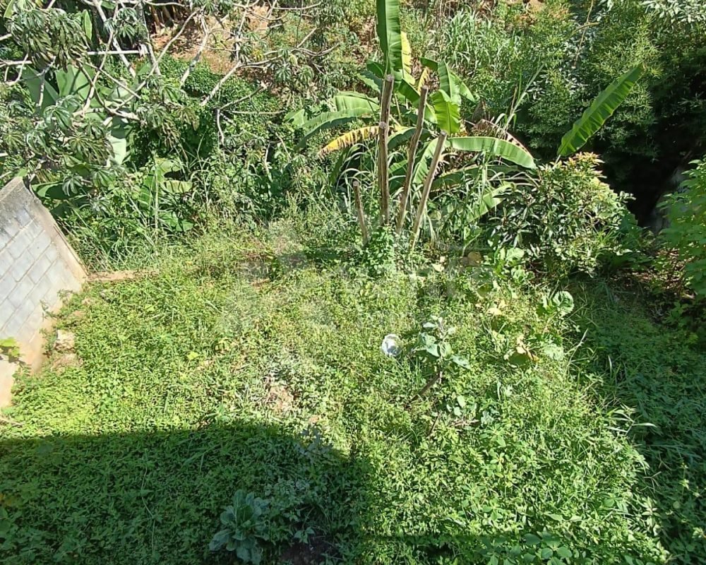 Avante Imóveis você a realizar o sonho da casa própria