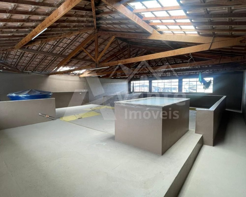 Avante Imóveis ajudando você a realizar o sonho da casa própria