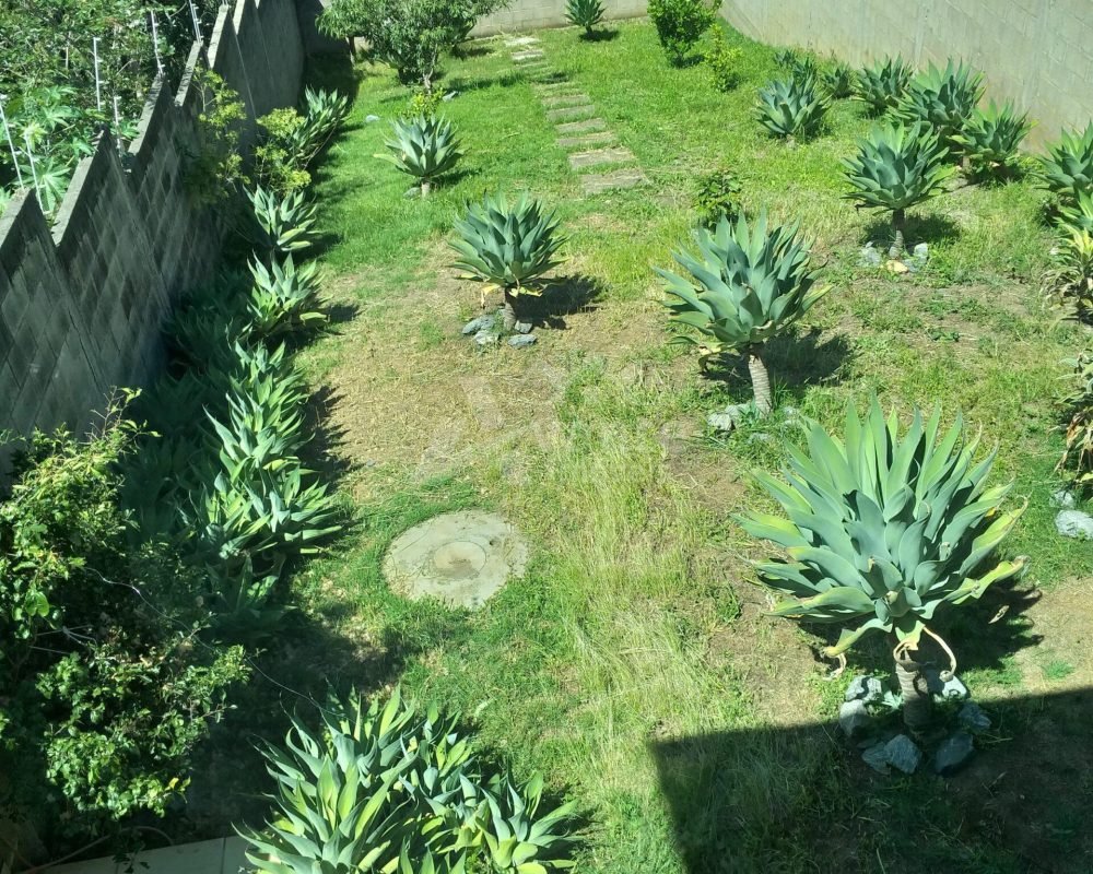 Avante Imóveis ajudando você a realizar o sonho da casa própria