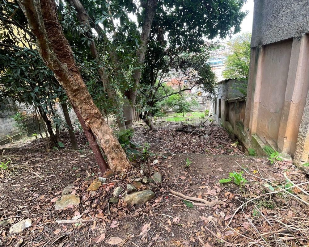 Avante Imóveis ajudando você a realizar o sonho da casa própria