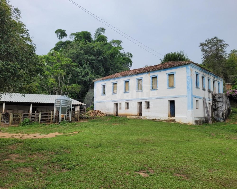 Avante Imóveis ajudando você a realizar seu sonho