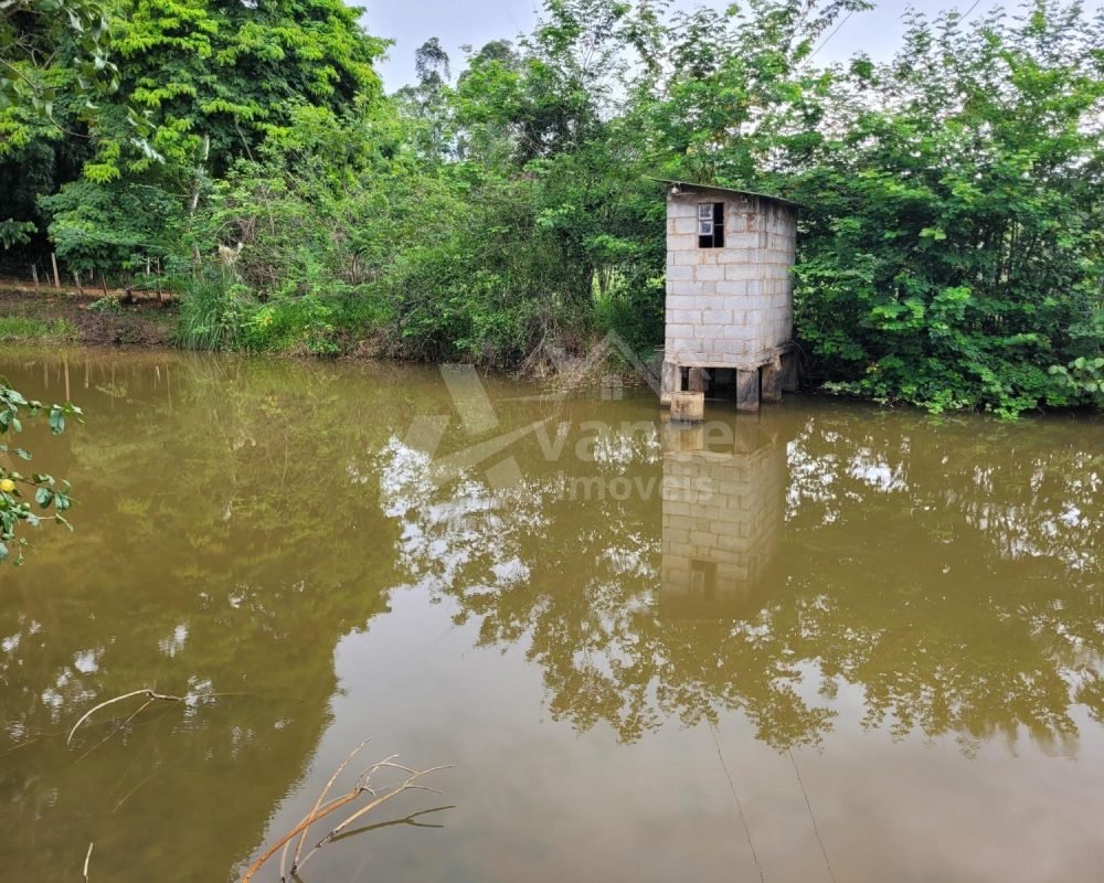 Avante Imóveis ajudando você a realizar seu sonho