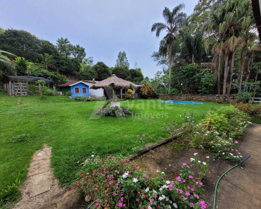 Avante Imóveis ajudando você a realizar seu sonho