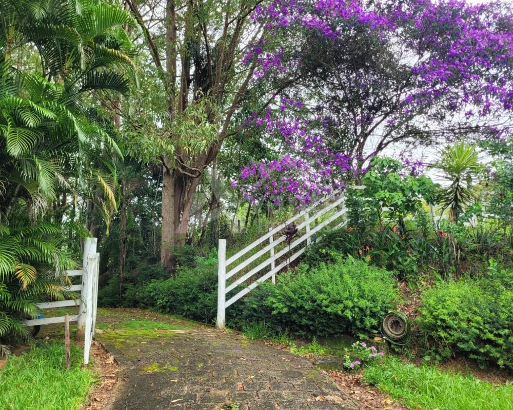 Avante Imóveis ajudando você a realizar seu sonho