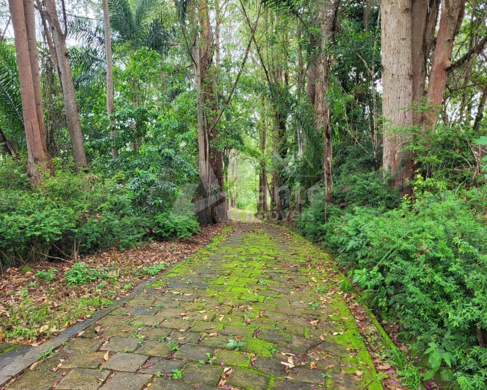 Avante Imóveis ajudando você a realizar seu sonho