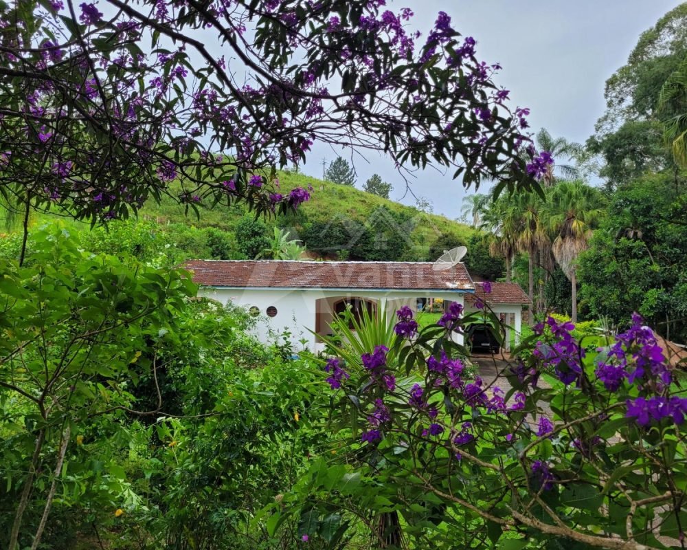 Avante Imóveis ajudando você a realizar seu sonho