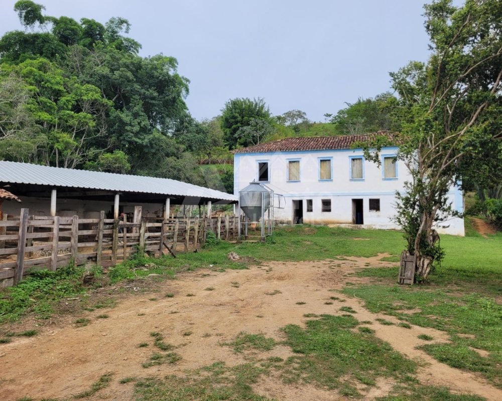 Avante Imóveis ajudando você a realizar seu sonho