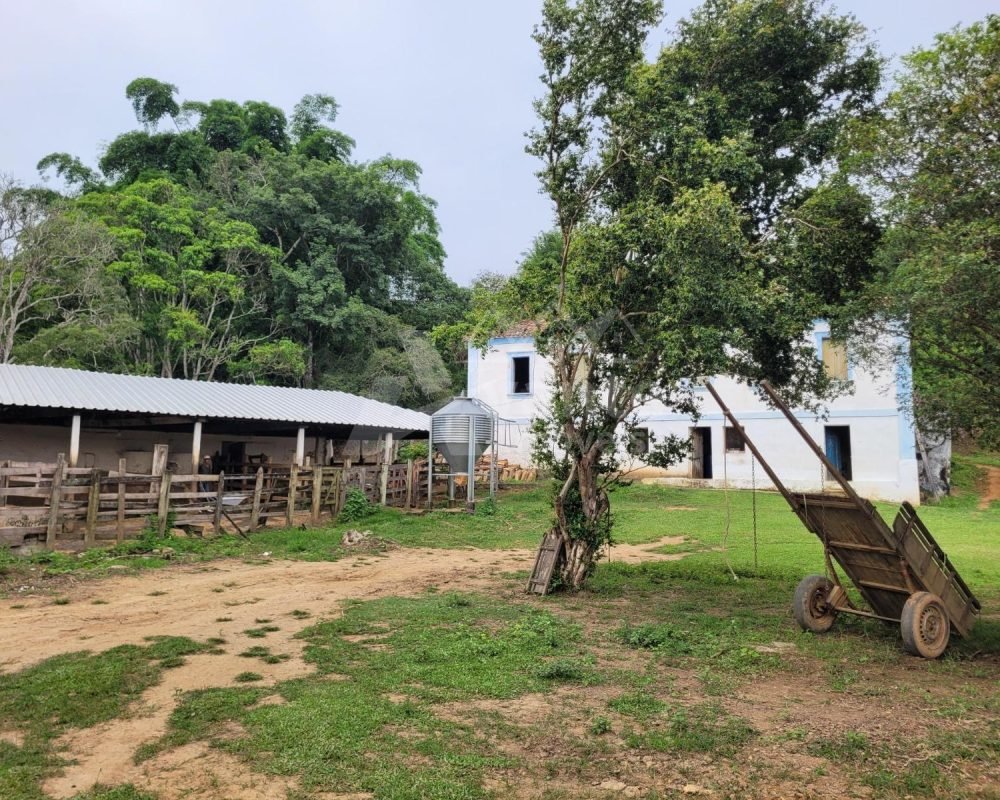 Avante Imóveis ajudando você a realizar seu sonho
