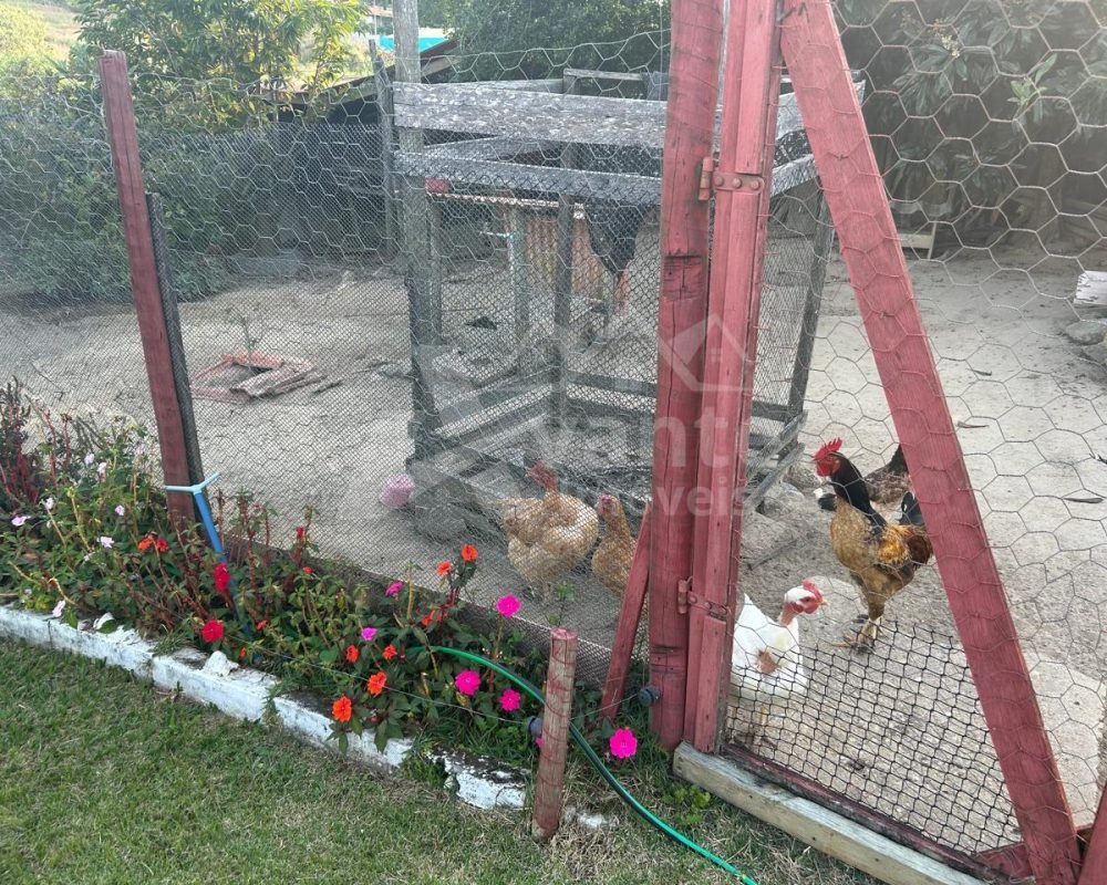 Avante Imóveis ajudando você a realizar o sonho da casa própria