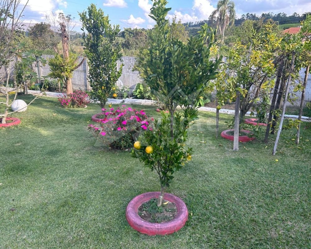 Avante Imóveis ajudando você a realizar o sonho da casa própria