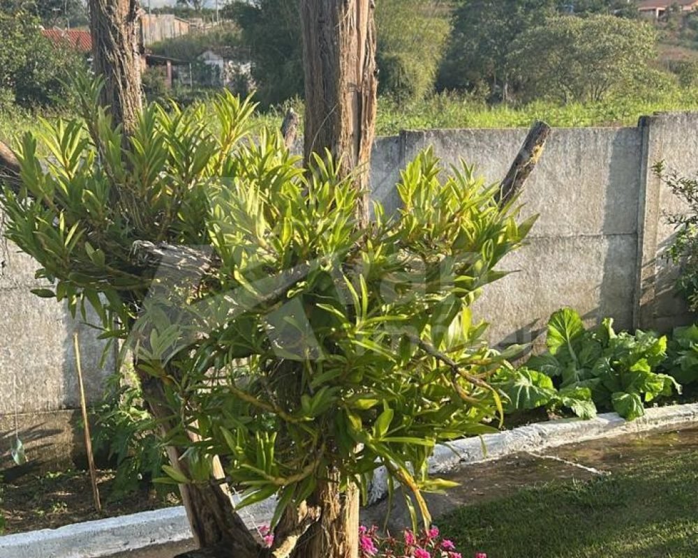 Avante Imóveis ajudando você a realizar o sonho da casa própria