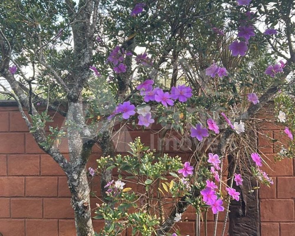 Avante Imóveis ajudando você a realizar o sonho da casa própria