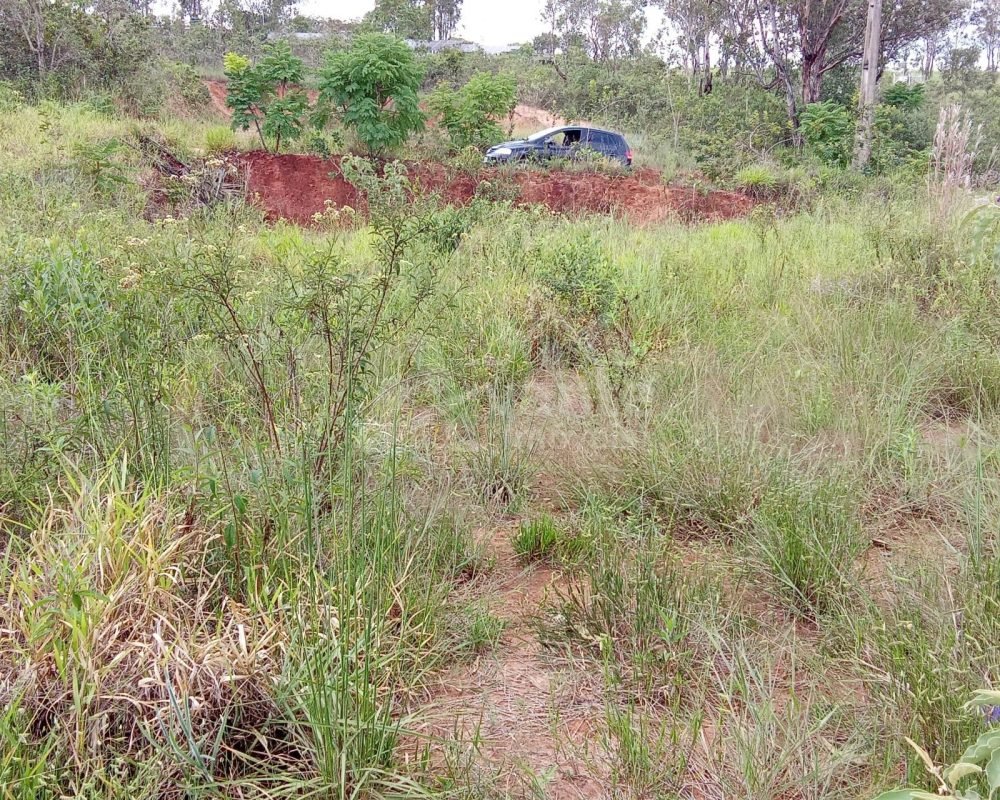 Você tem um sonho e nós temos a chave!