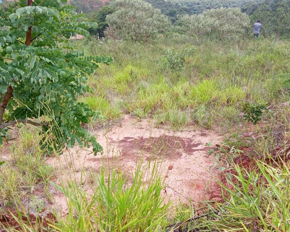 Você tem um sonho e nós temos a chave!