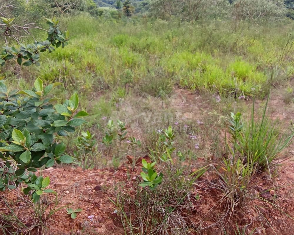 Você tem um sonho e nós temos a chave!