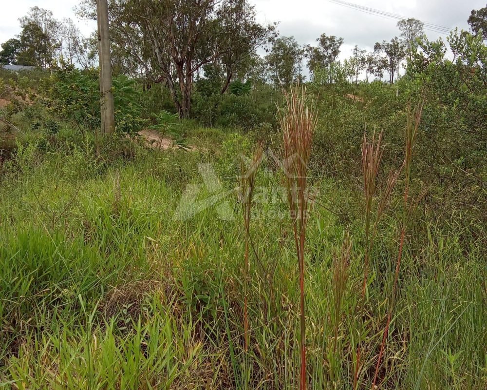 Você tem um sonho e nós temos a chave!