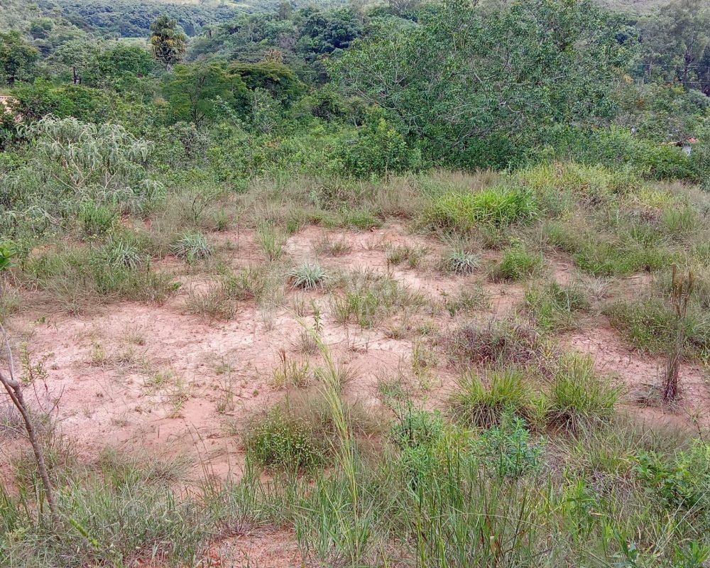 Você tem um sonho e nós temos a chave!
