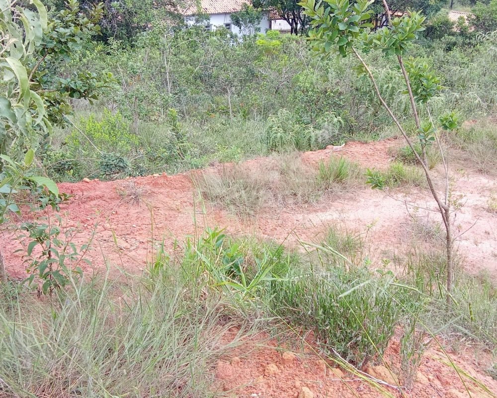 Você tem um sonho e nós temos a chave!