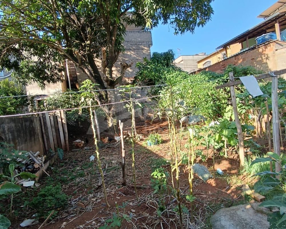 Avante Imóveis ajudando você a realizar o sonho da casa própria