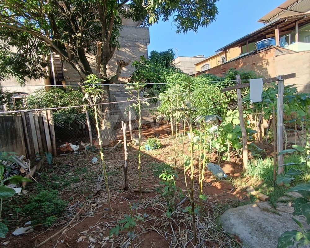 Avante Imóveis ajudando você a realizar o sonho da casa própria