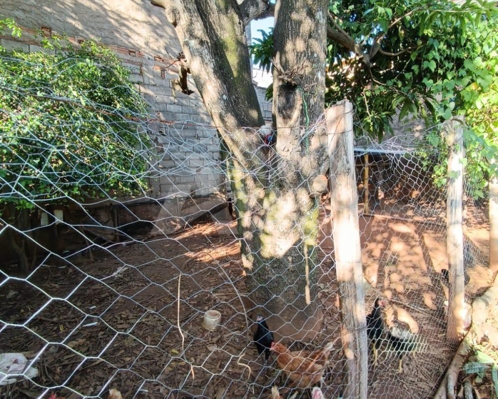 Avante Imóveis ajudando você a realizar o sonho da casa própria