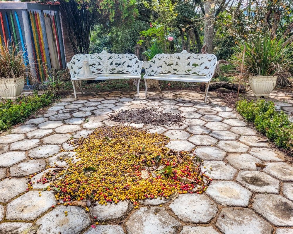 Avante Imóveis ajudando você a realizar seu sonho