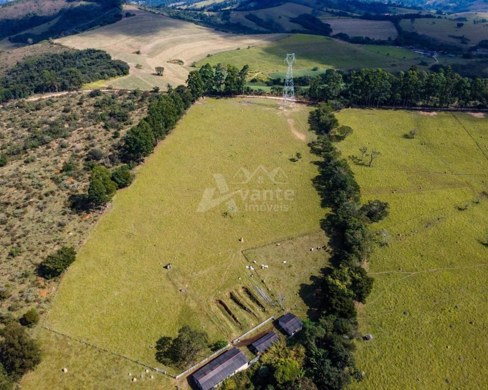 Avante Imóveis ajudando você a realizar seu sonho