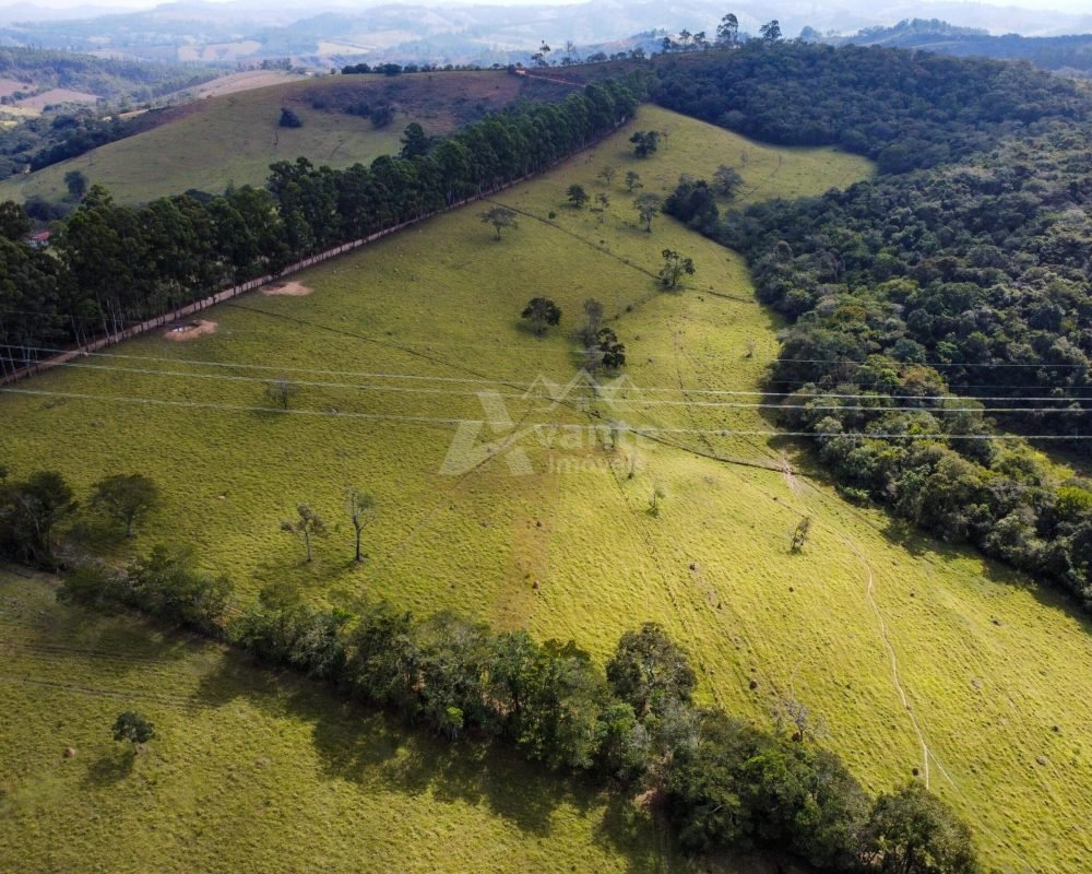 Avante Imóveis ajudando você a realizar seu sonho