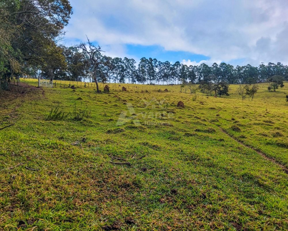 Avante Imóveis ajudando você a realizar seu sonho