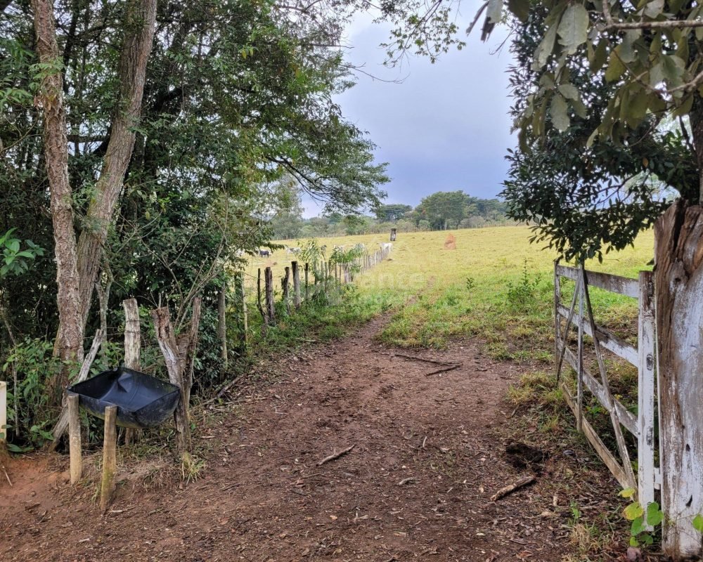 Avante Imóveis ajudando você a realizar seu sonho