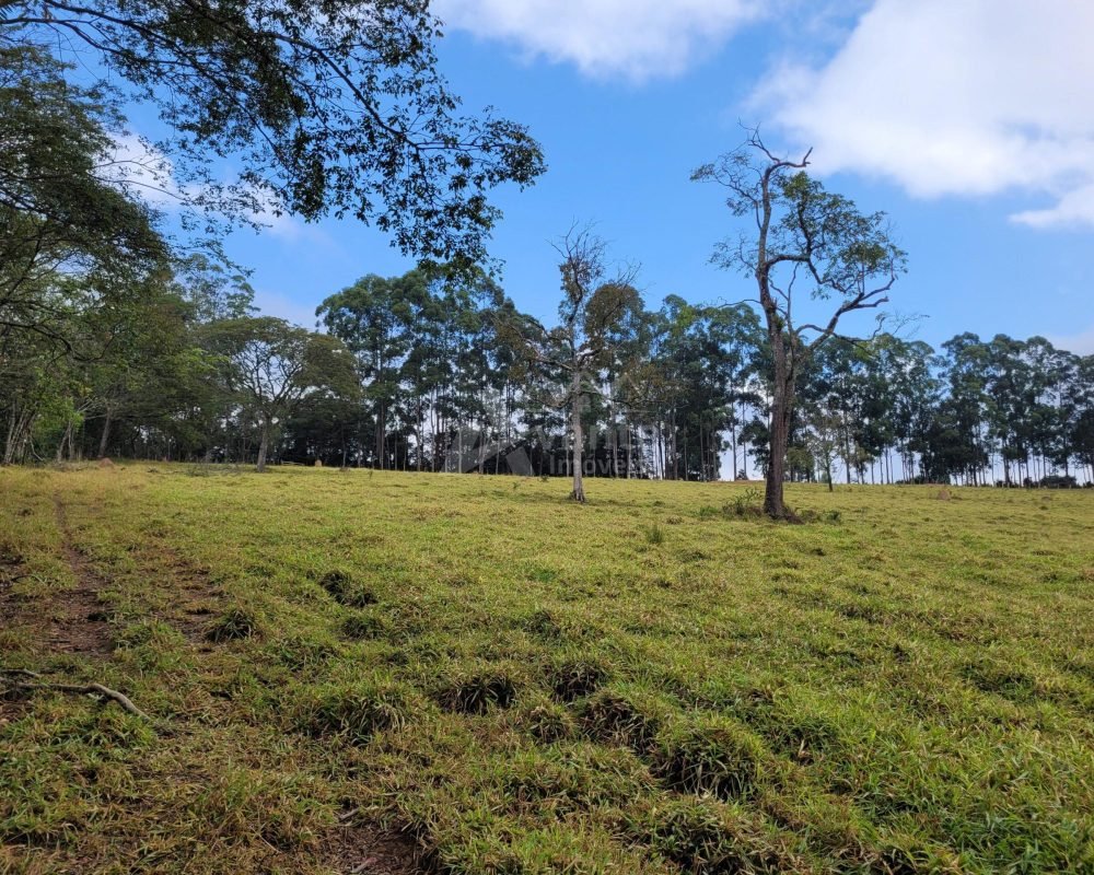 Avante Imóveis ajudando você a realizar seu sonho