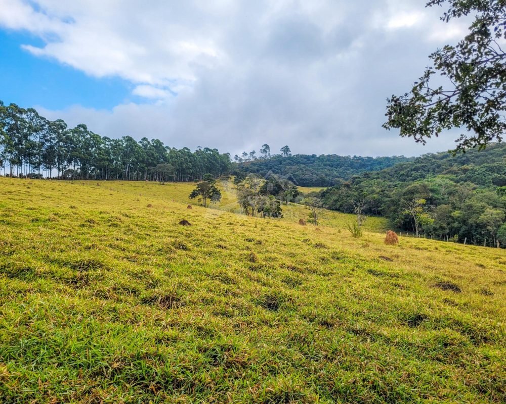 Avante Imóveis ajudando você a realizar seu sonho