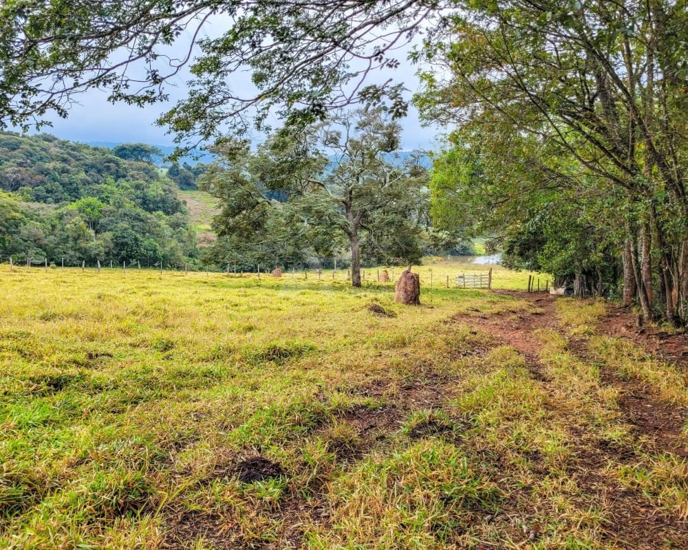 Avante Imóveis ajudando você a realizar seu sonho