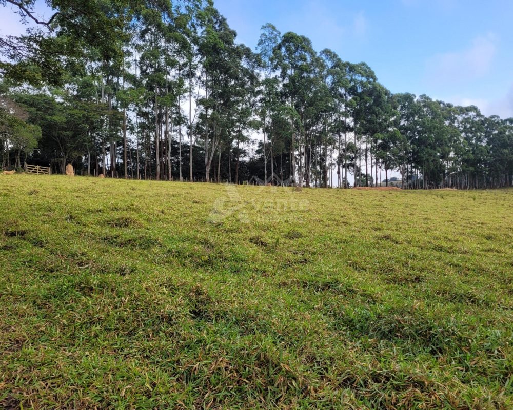 Avante Imóveis ajudando você a realizar seu sonho