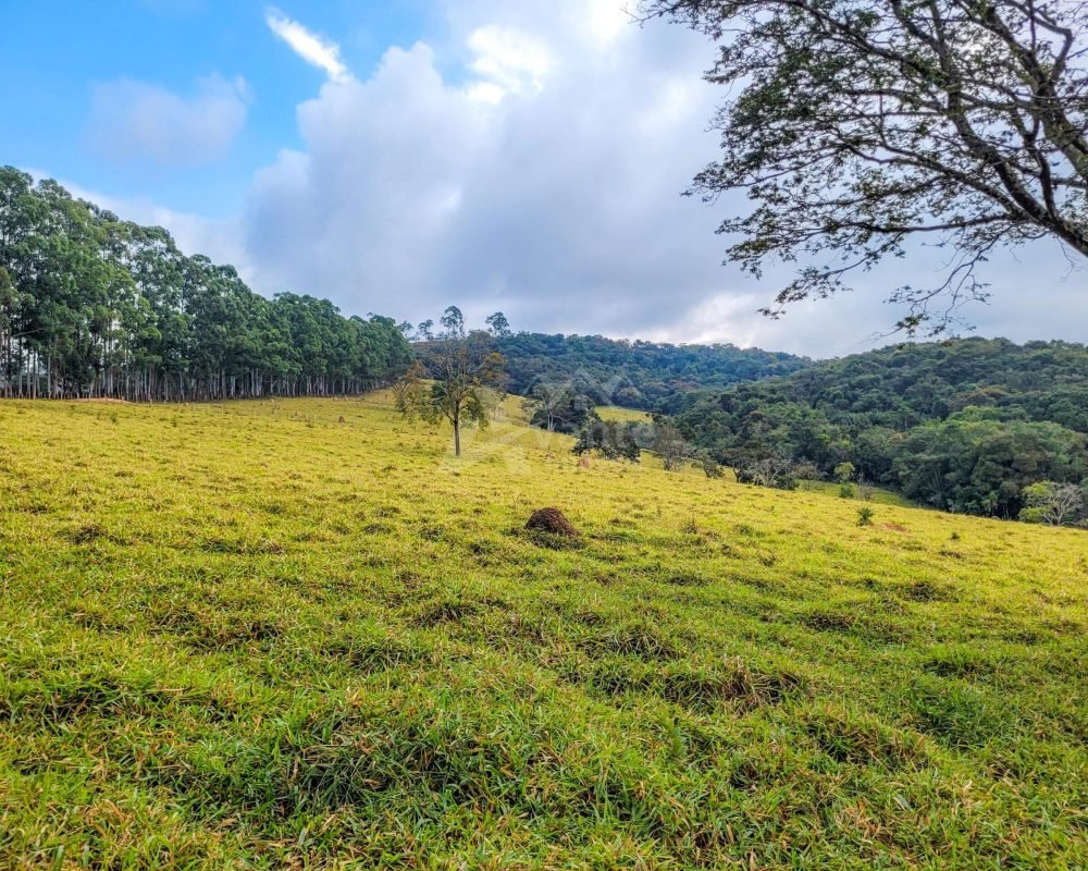 Avante Imóveis ajudando você a realizar seu sonho