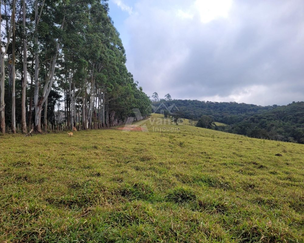 Avante Imóveis ajudando você a realizar seu sonho