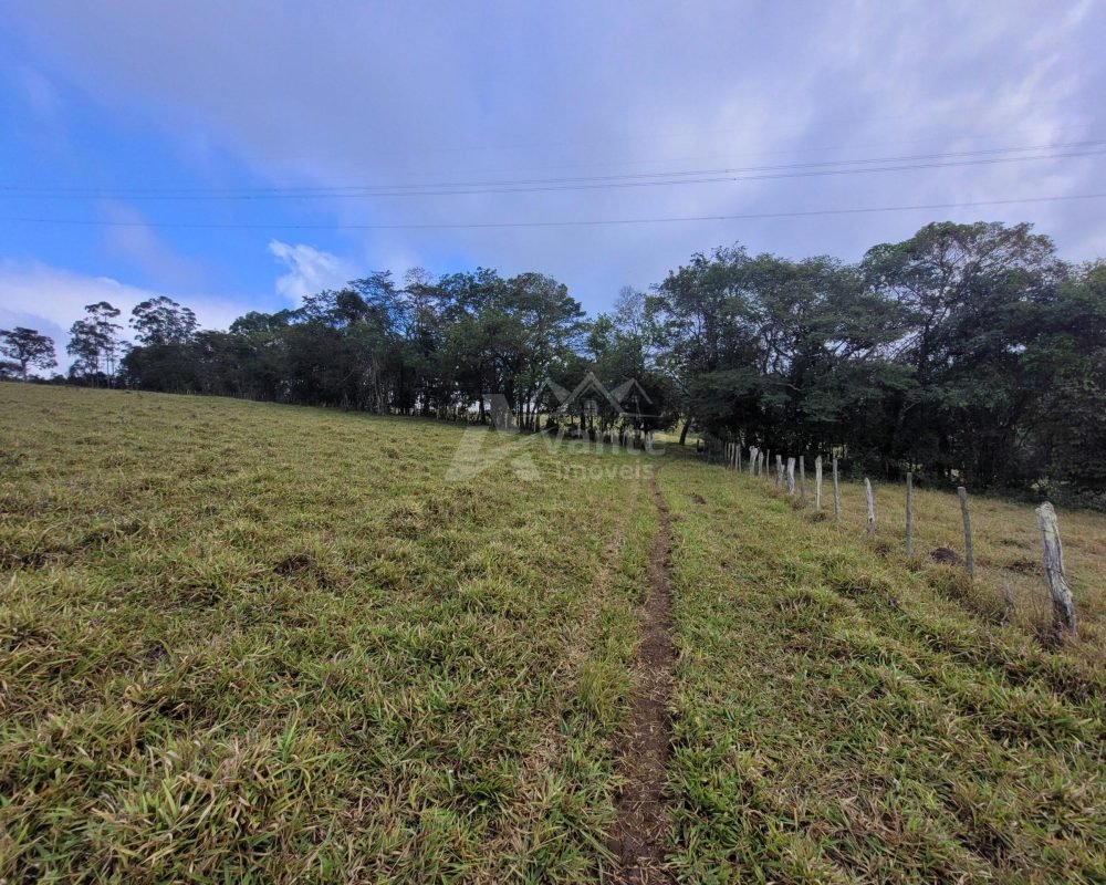 Avante Imóveis ajudando você a realizar seu sonho
