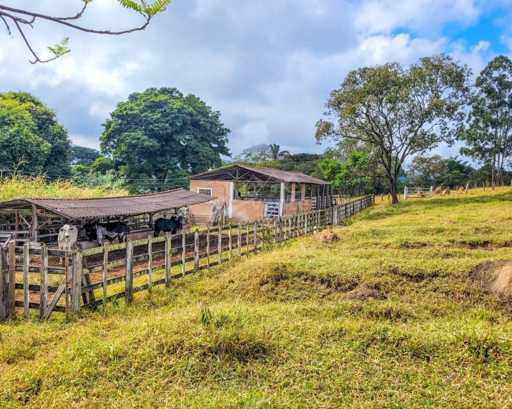 FAZENDA EM REZENDE DE COSTA (57)