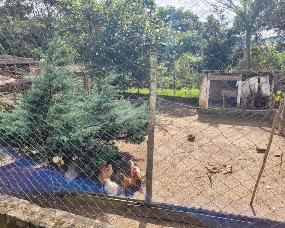 Avante Imóveis ajudando você a realizar seu sonho