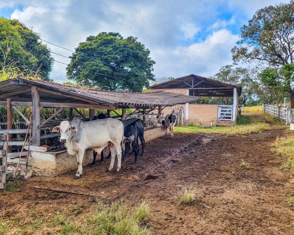 Avante Imóveis ajudando você a realizar seu sonho